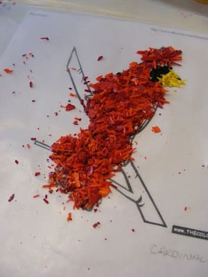 bird-craft-with-crayons-2