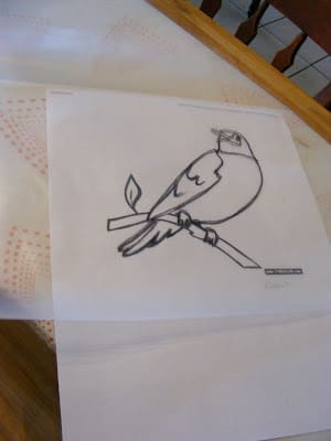 bird-outline-sketch
