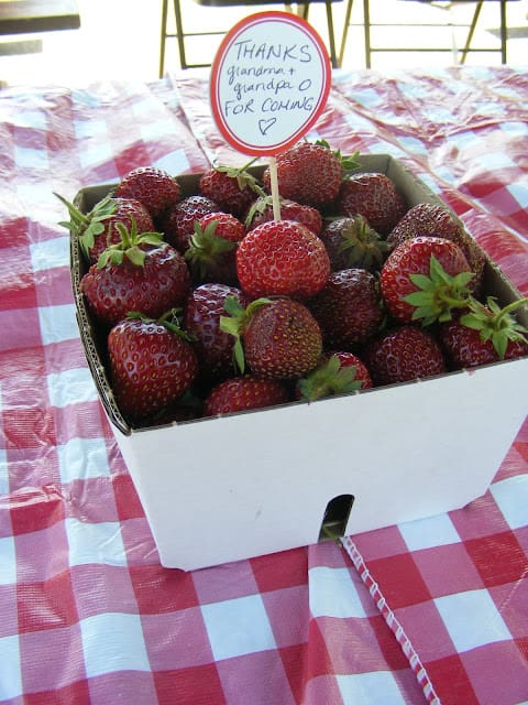 fresh-strawberries-in-a-box