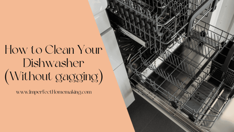 How To Clean Your Dishwasher with Ease (without gagging too much)