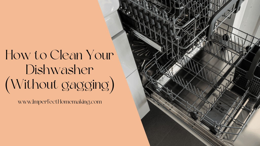 how-to-clean-your-dishwasher-at-home-diy