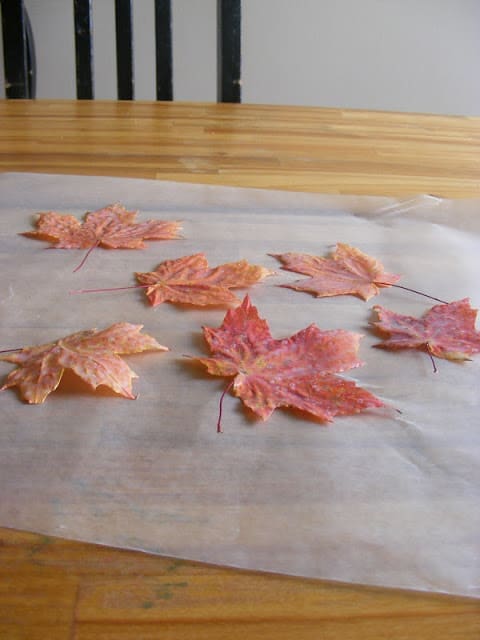 leaves-during-card-making