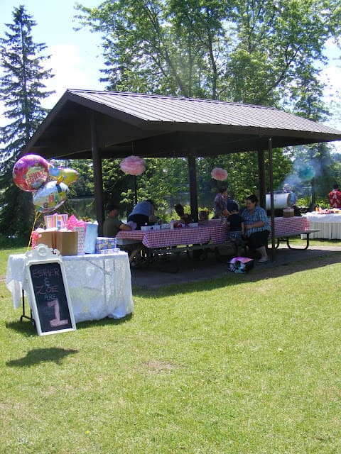 picnic-party-idea-for-birthday