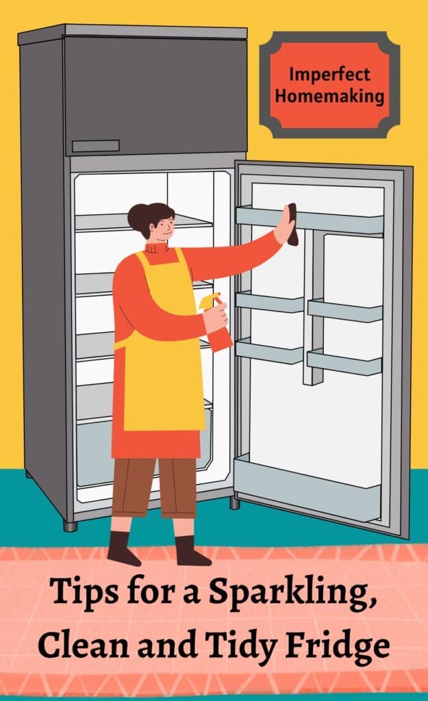 lady-cleaning-a-stainless-steel-fridge
